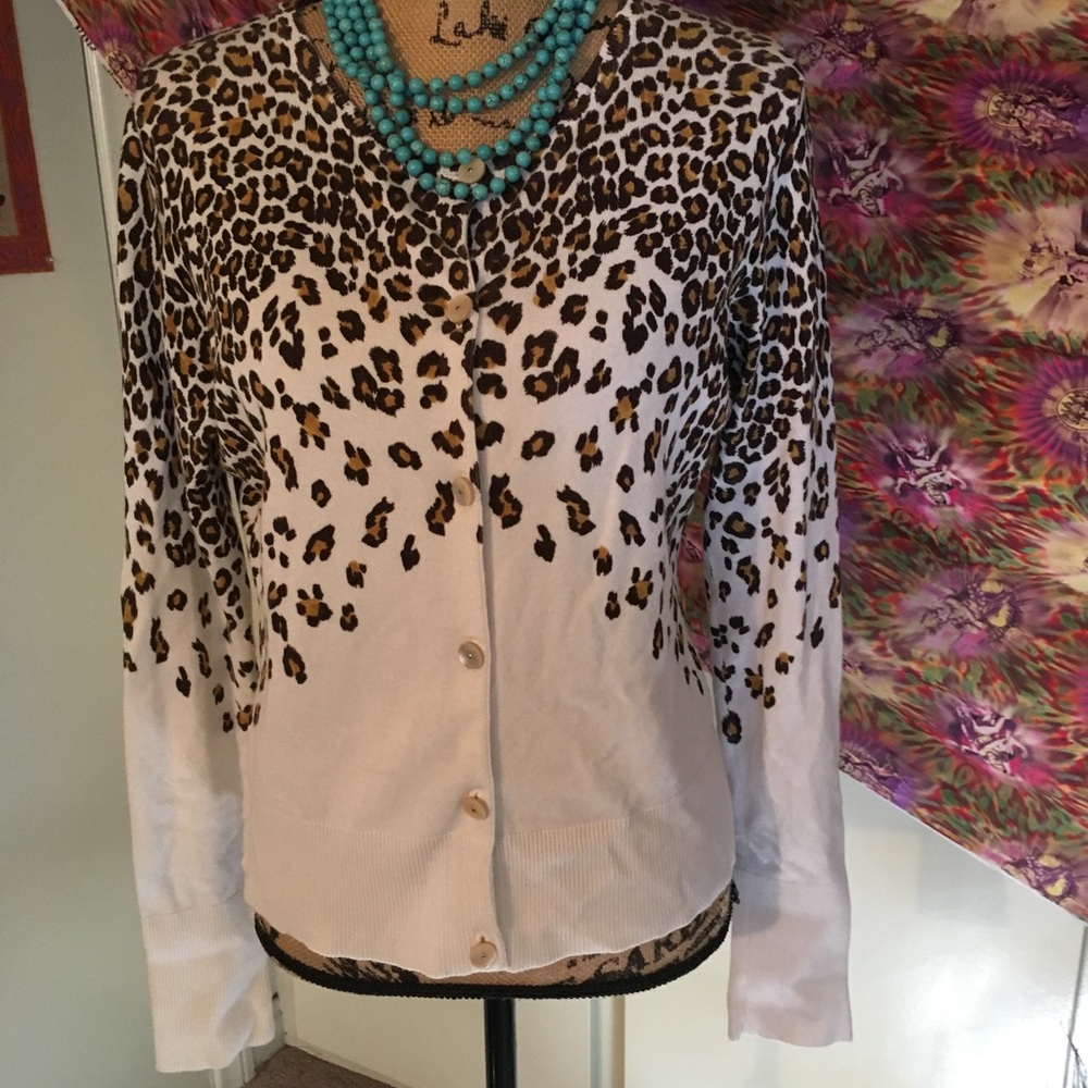 Fun Leopard Print sweater